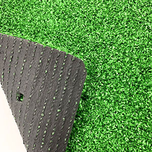 Grass