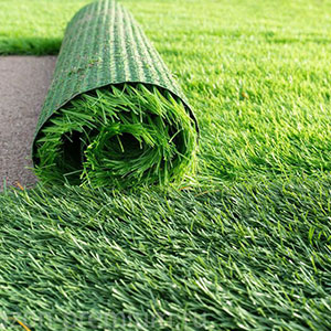 Grass