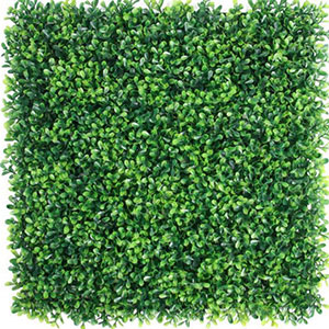 Grass