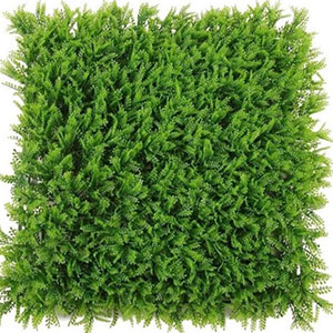 Grass